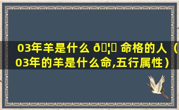 03年羊是什么 🦍 命格的人（03年的羊是什么命,五行属性）